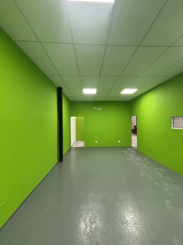 Local terminado con paredes verdes y cielorraso nuevo